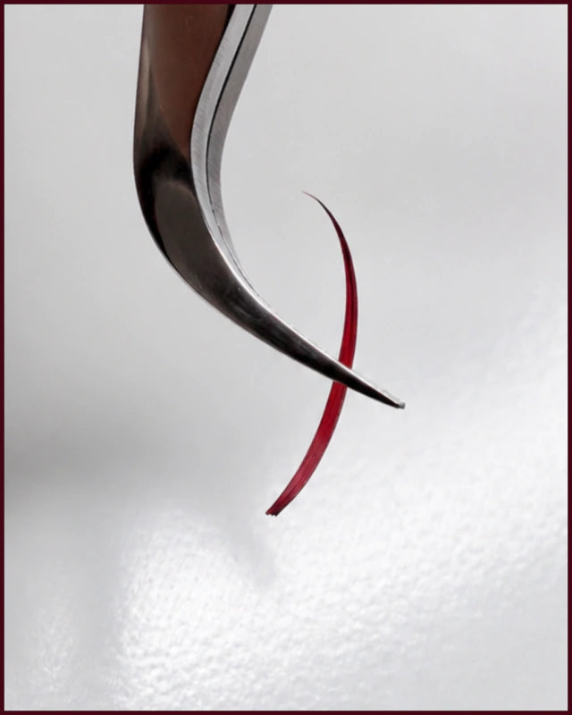 Burgundy Wine Individual Volume - 0.05 (16 lineas) MIX