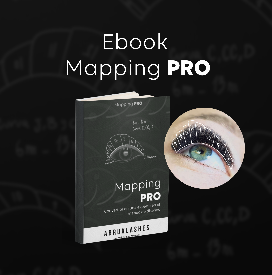 Ebook Mapping PRO